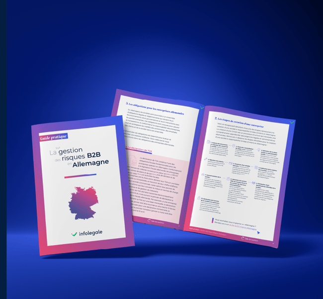 LP-telechargez-votre-guide-gestion-risques-b2b-allemagne